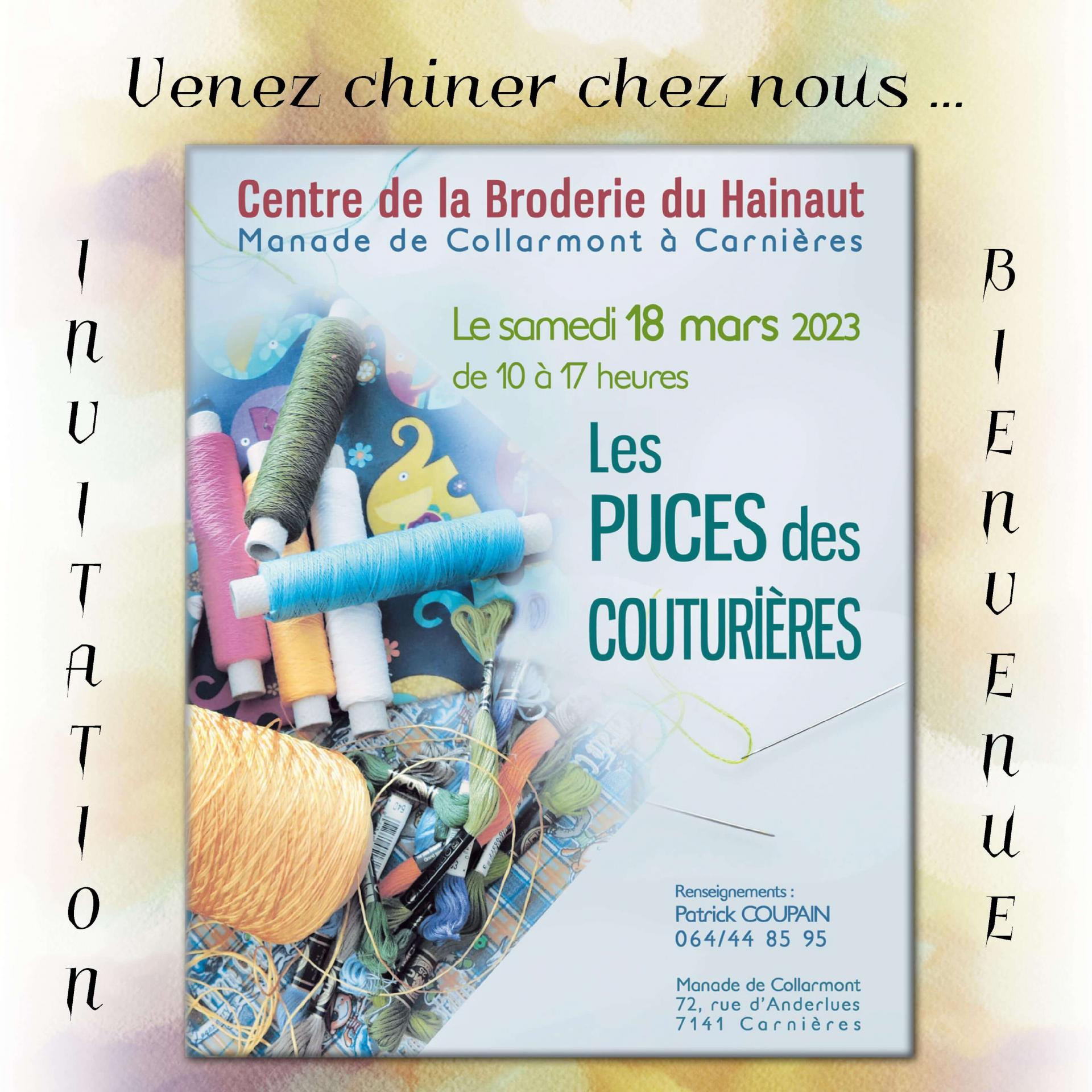 01 annonce puces