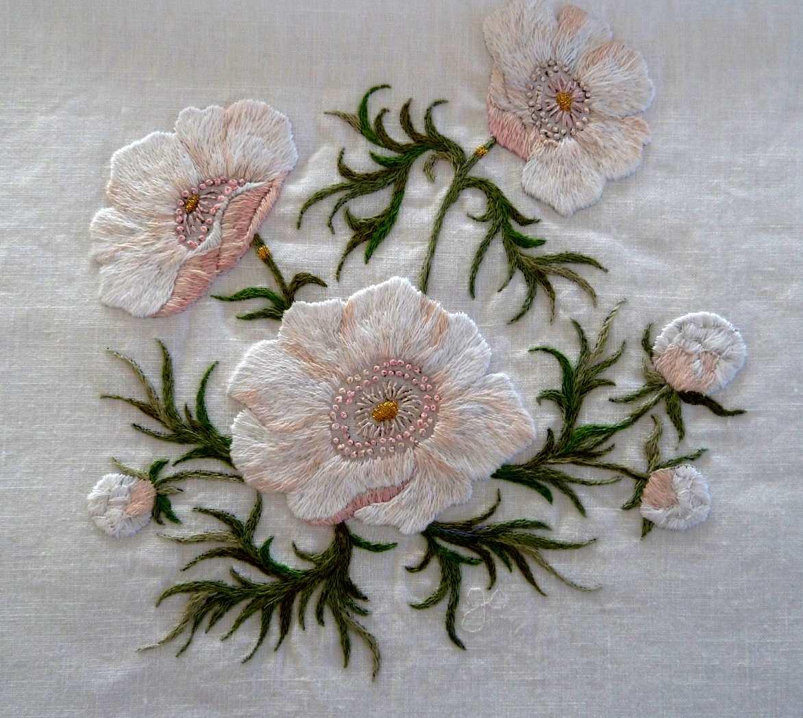 Anemone
